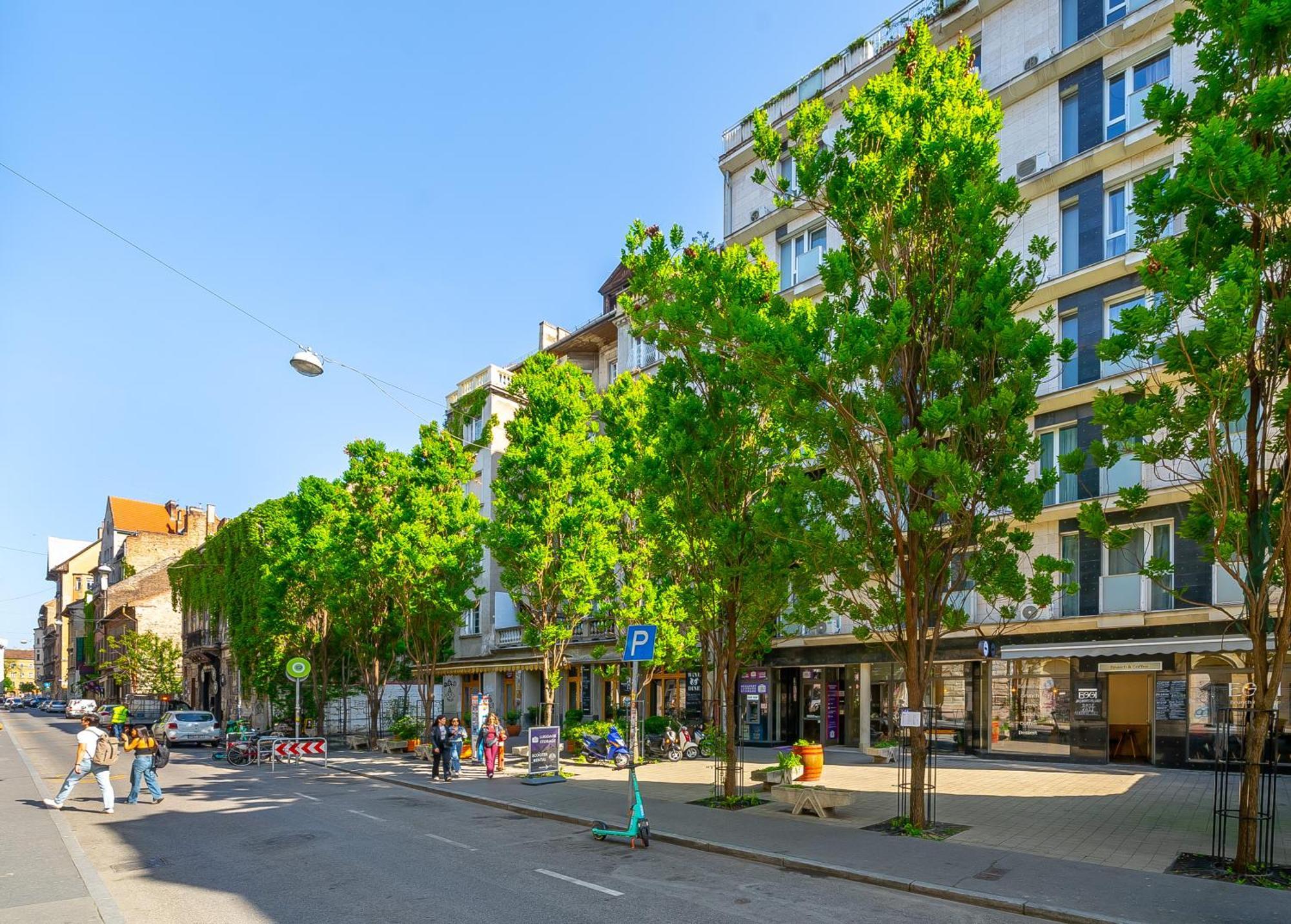 Klauzal 11-202 City Center Apartment Budapest Kültér fotó